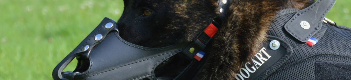 Dogart : harnais et muselières pour chiens k9 - brigade canine